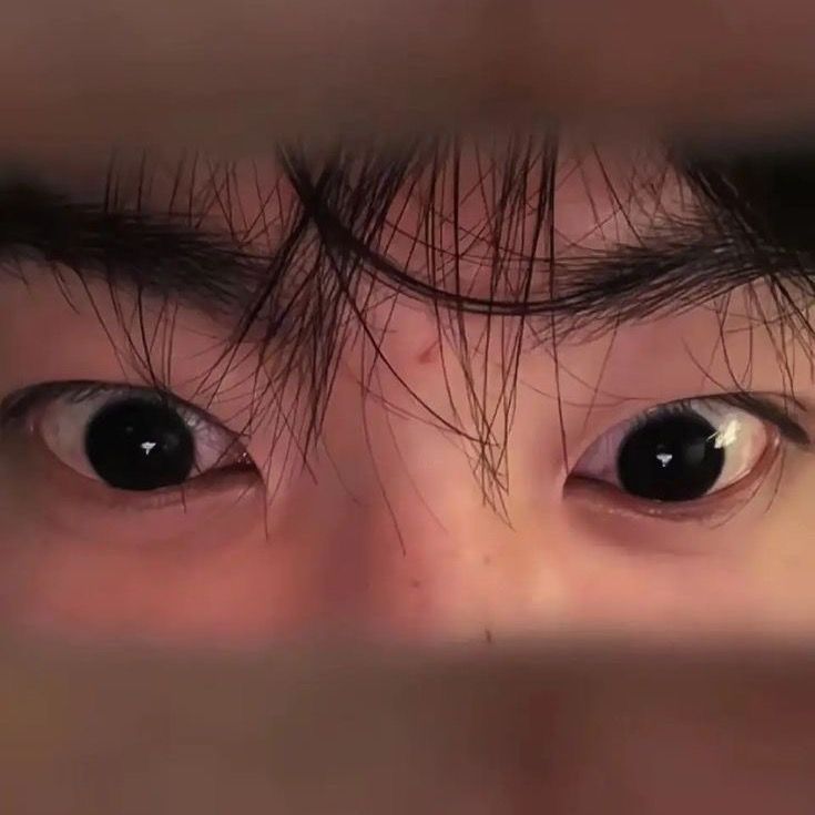 𝙇𝙮𝙖𝙣 𝙋𝙖𝙧𝙠 🧸