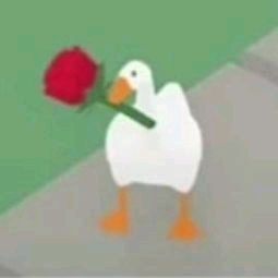 ່