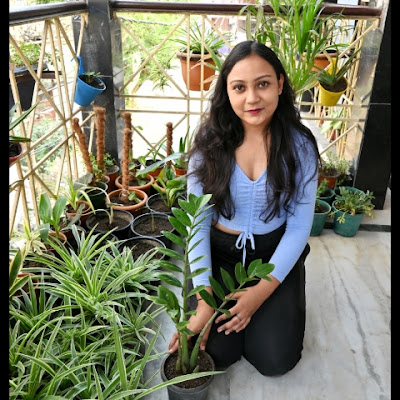 Aastha's Little Jungle