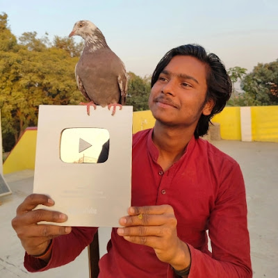 Abhishek pigeon group