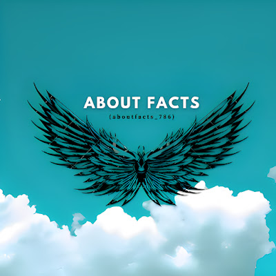 About Facts