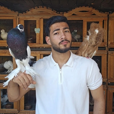 علاء صبرى - Alaa Sabry