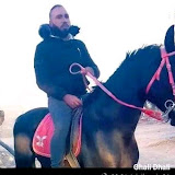ali ghali