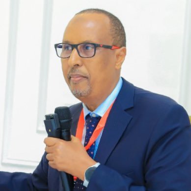 Ali H. Warsame