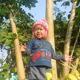 All Status Dugda