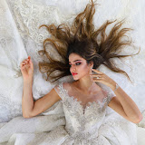 amanda novias