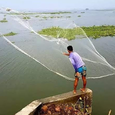 Amazon Net Fishing