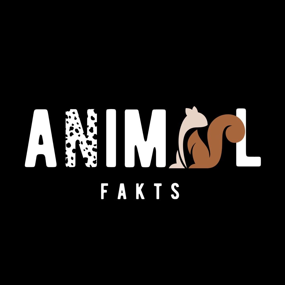 Animal Fakts 🦁