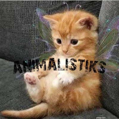 Animalistiks