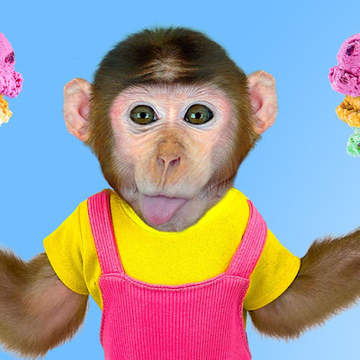 Animals PD