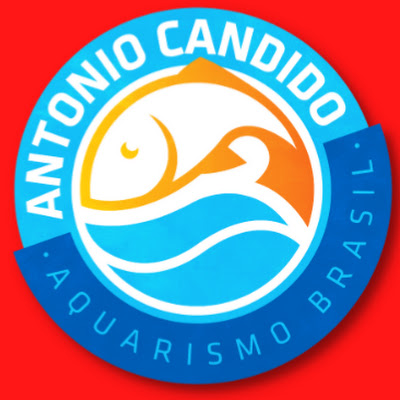 Antonio Candido Aquarismo Brasil