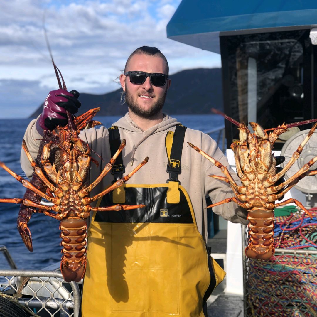 Aussie Lobster Hunters 🦞
