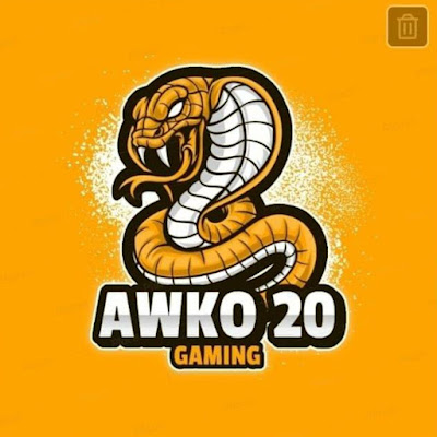 Awko20