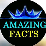 Azaming_facts_3m