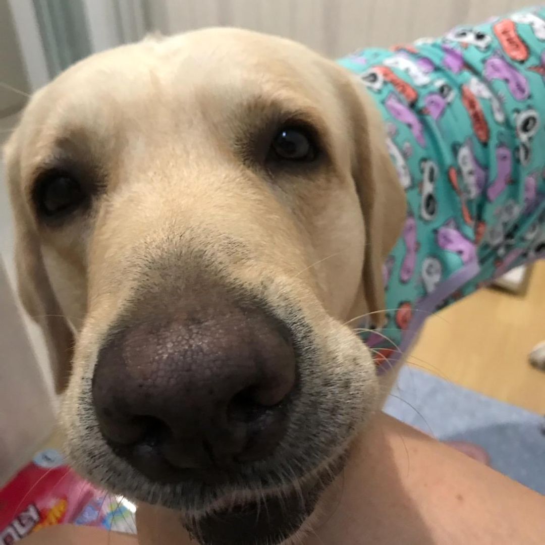 บาลองtiktok