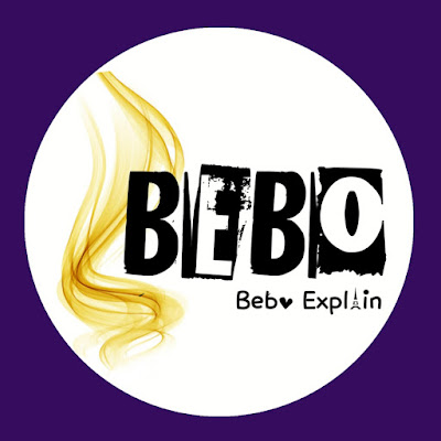 BEBO Explain 2