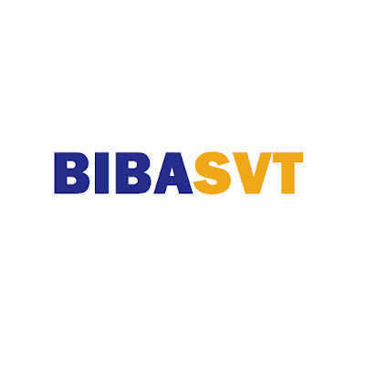 BIBA M BAREK |  BIBASVT