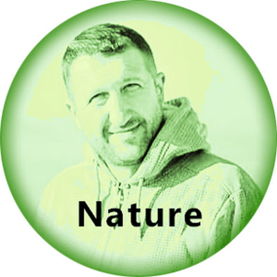 BIBLICAL Places & Nature in ISRAEL