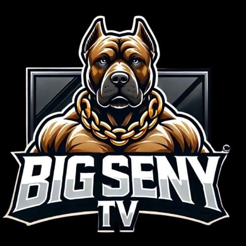 BigSenyTV