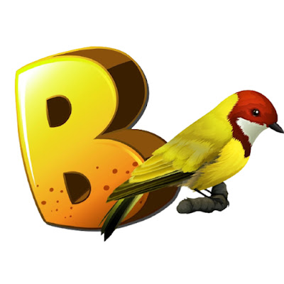 Birds Mentor