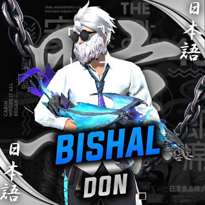 Bishal  Gamer