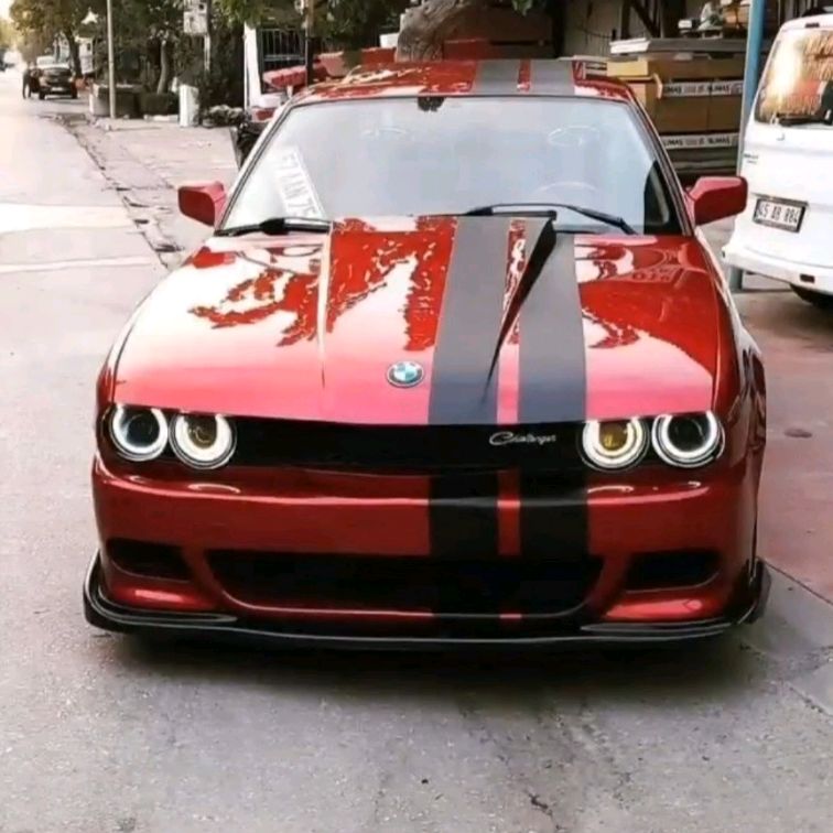 فایبر گلاسی حاجی