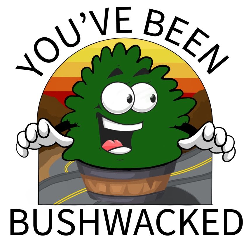Boisebushman
