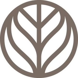 Branch Basics
