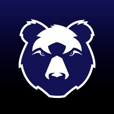 Bristol Bears 🐻