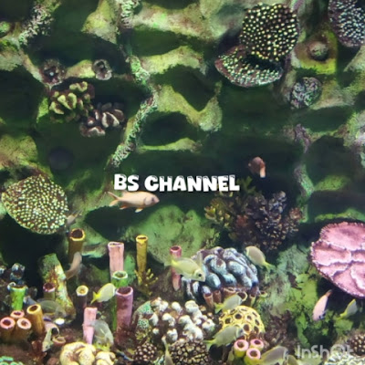 BS Channel