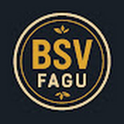 Bsv Fagu