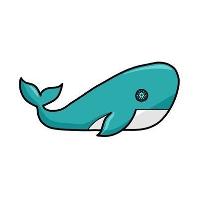 whale