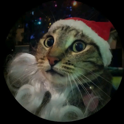 Catibombastic
