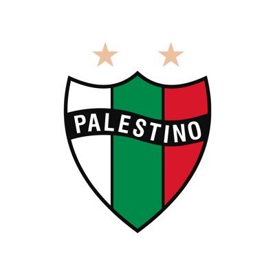 Club Deportivo Palestino