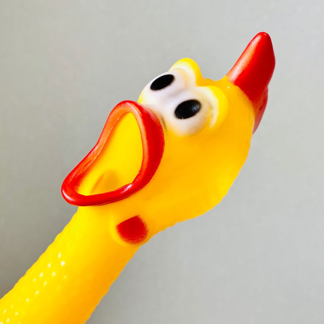 チキンくん
