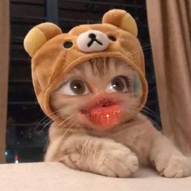 tên chỉ tên chi🌷✨