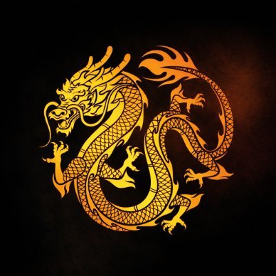 DRAGON中国龙🐉
