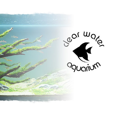 Clear Water Aquarium