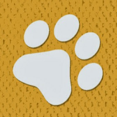 Consejos para mascotas