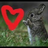 Craftybunnies