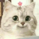Cute Bibi