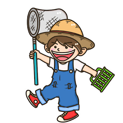 Daiki Musihioka(Japanese Insect YouTuber)