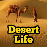 Deserts life