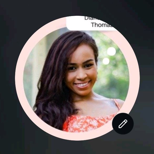 Diário Raquel Thomazi