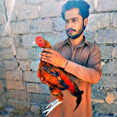 Dilbar Khan