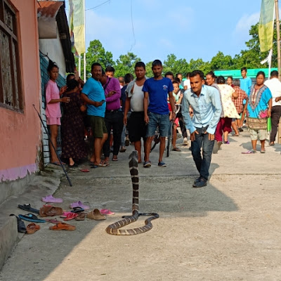 Dipak Nepal Snake expert