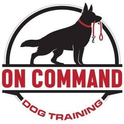 Dipansh Dog Training Official
