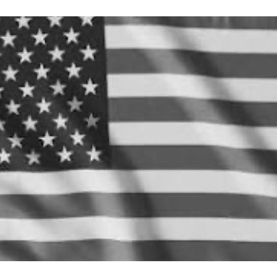 AmericaFirst