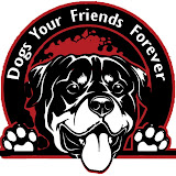 Dogs Your Friends Forever