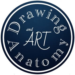 Drawing anatomy & art official